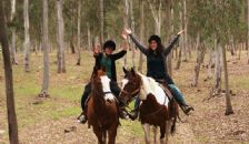 טיול רכיבה על סוסים שעה בגן לאומי נחל אלכסנדר ולשמורת הצבים